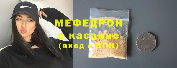 индика Нягань
