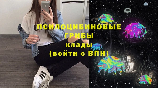 сатива Осинники