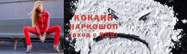индика Нягань