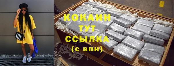 сатива Осинники