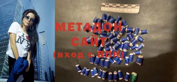 индика Нягань