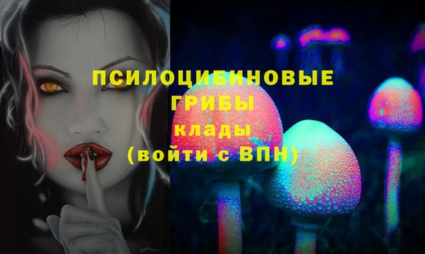 индика Нягань