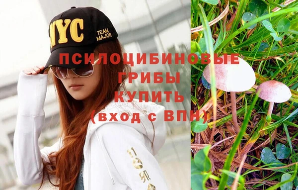 индика Нягань