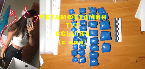 индика Нягань