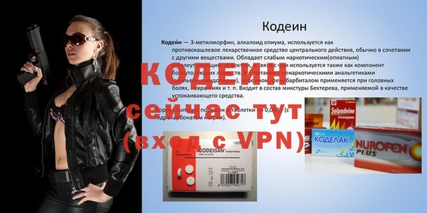 трава Няндома